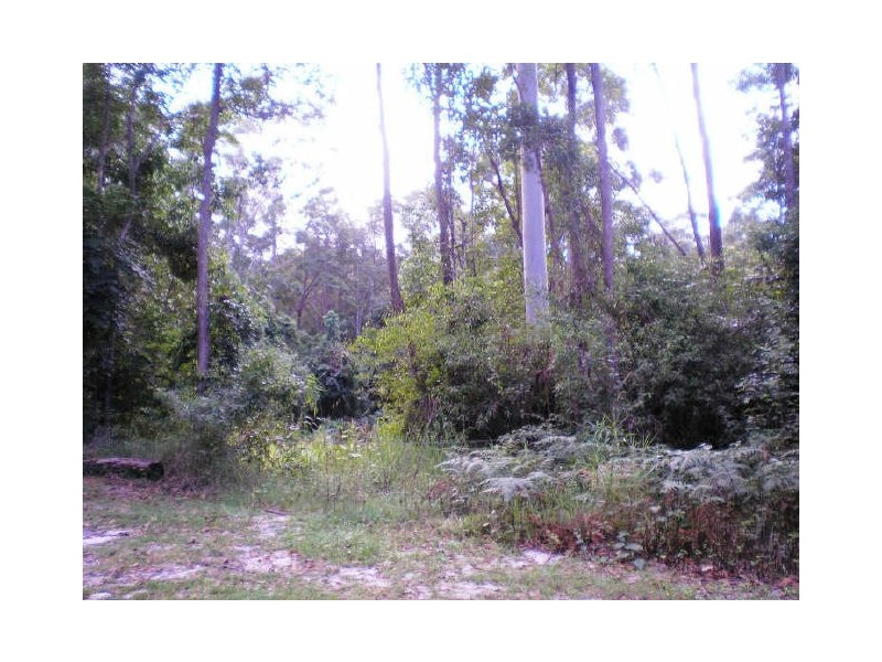 80 Pheasant La, Doonan QLD 4562