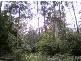 80 Pheasant La, Doonan QLD 4562