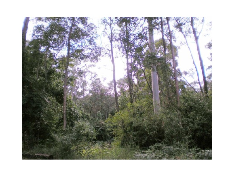 80 Pheasant La, Doonan QLD 4562