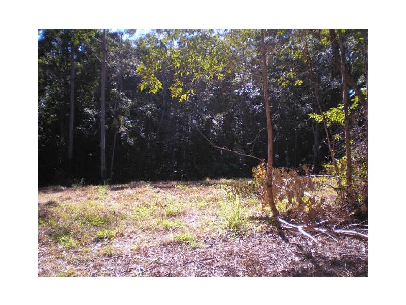 80 Pheasant La, Doonan QLD 4562