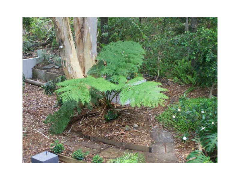 43 Nairana Rt, Noosa Heads QLD 4567