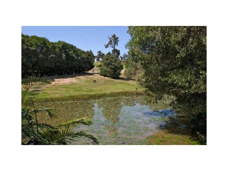 14 Squatter Ct, Pomona QLD 4568