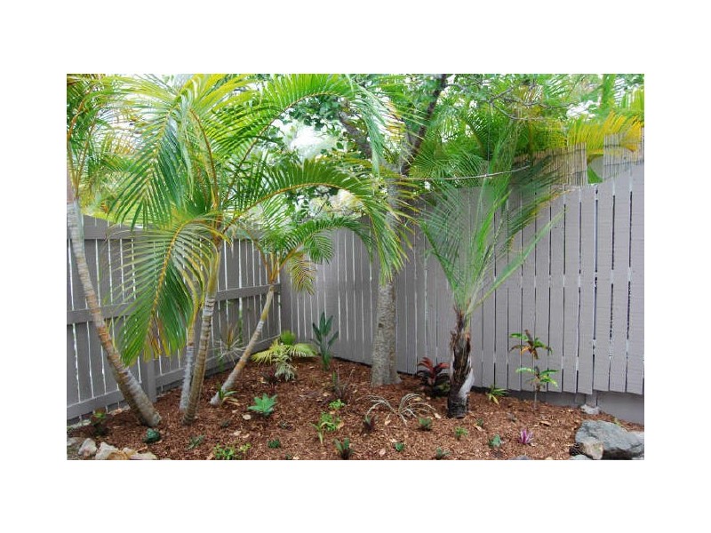 1/67 Southern Cross PD, Sunrise Beach QLD 4567