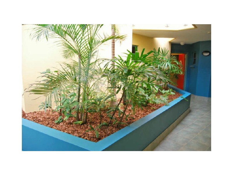 2/17 Albert St, Noosaville QLD 4566