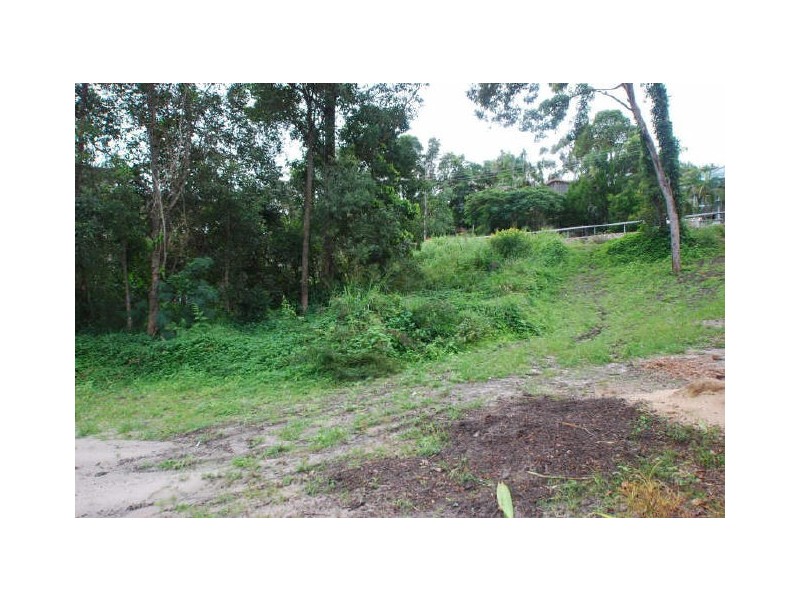 17 Grant St, Noosa Heads QLD 4567