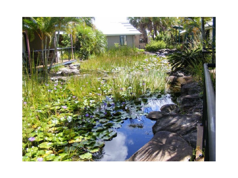 39/73 Hilton Tc, Noosaville QLD 4566