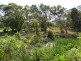 13 Grant St, Noosa Heads QLD 4567