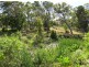 13 Grant St, Noosa Heads QLD 4567