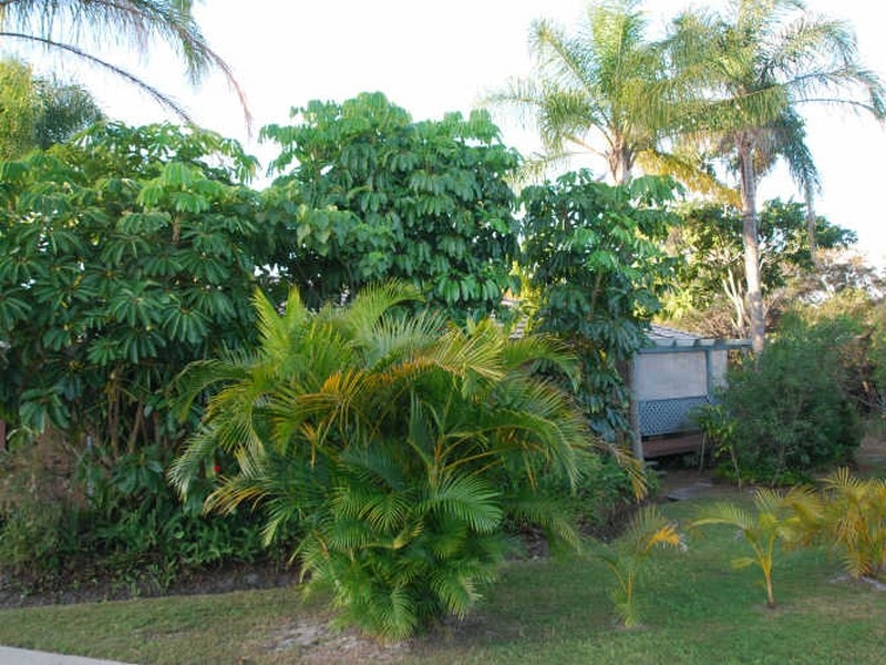 47 Tarina St, Noosa Heads QLD 4567
