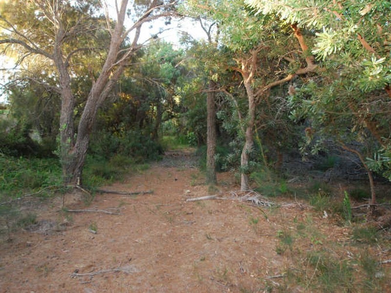 47 Tarina St, Noosa Heads QLD 4567