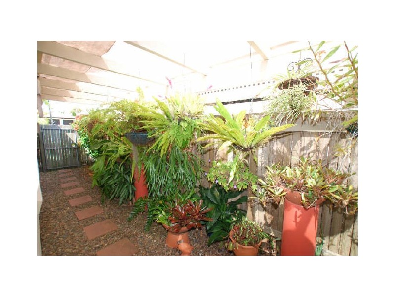 11 Talara Ct, Tewantin QLD 4565