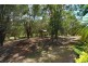 11 Talara Ct, Tewantin QLD 4565