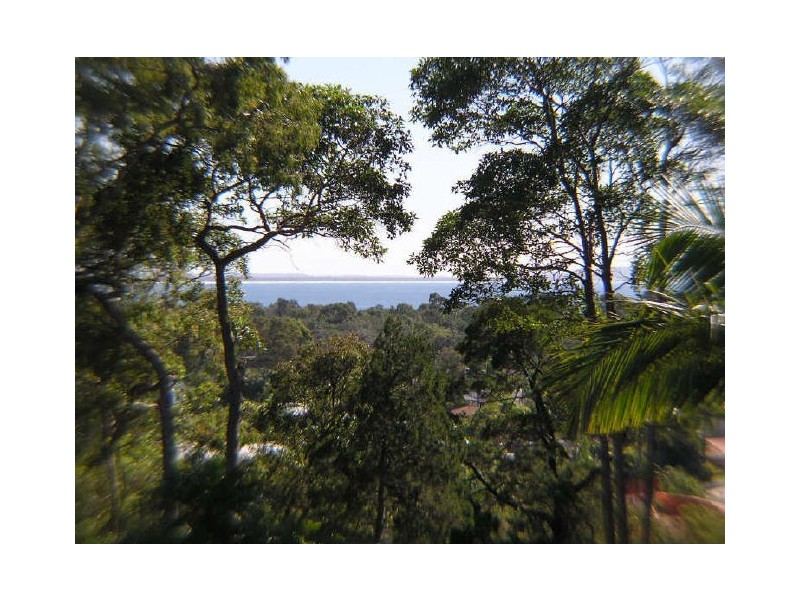 26/53 Banksia Av, Noosa Heads QLD 4567