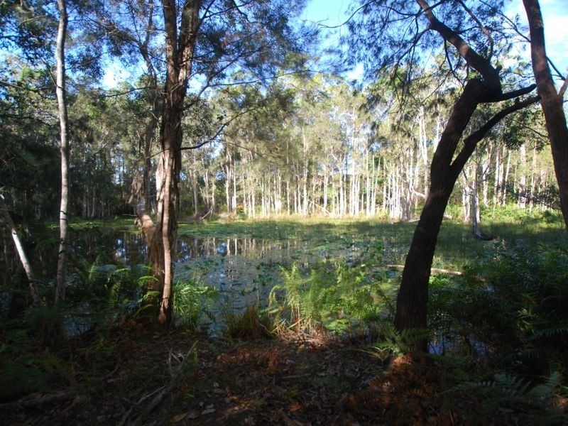 27 Silkwood Dr, Noosaville QLD 4566