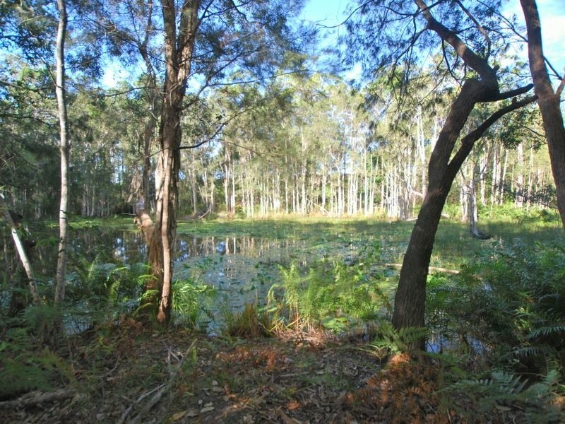 27 Silkwood Dr, Noosaville QLD 4566