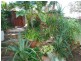 11/2 Orealla Cr, Sunrise Beach QLD 4567