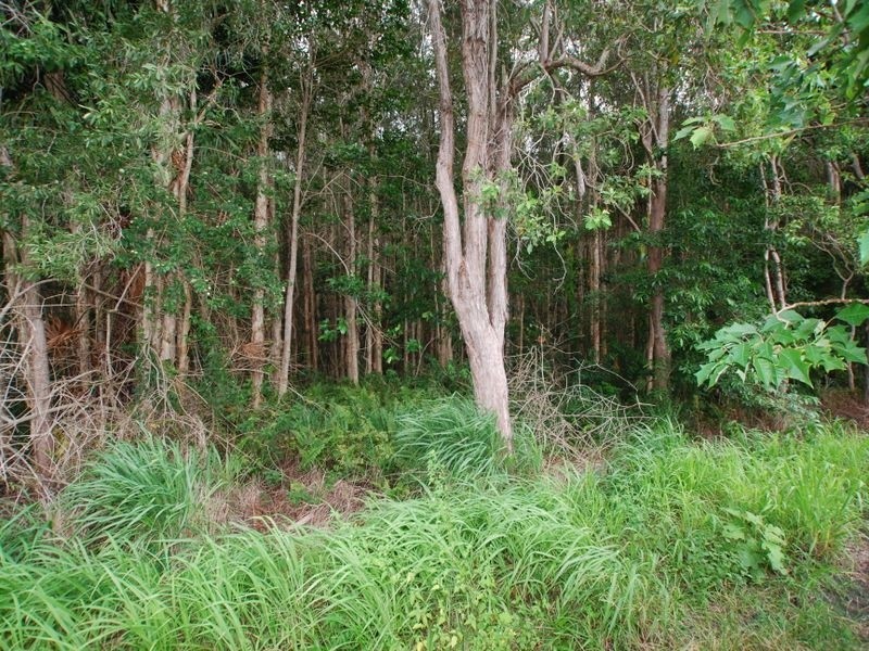 6 Yellowood Cl, Tewantin QLD 4565