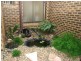 14 Carramar St, Tewantin QLD 4565