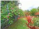 1 Moonbeam Cr, Castaways Beach QLD 4567