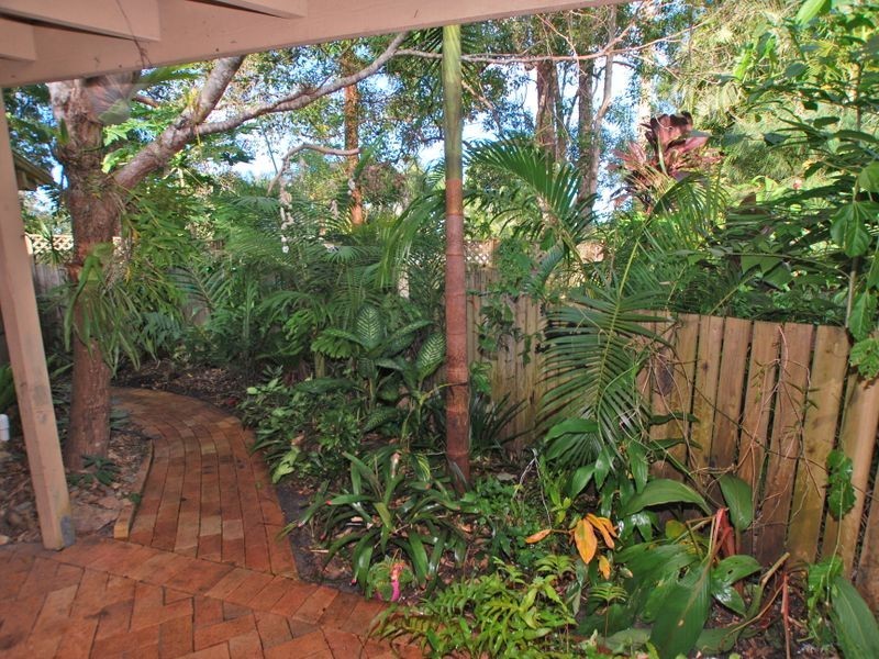 3 Harlow Cr, Tewantin QLD 4565