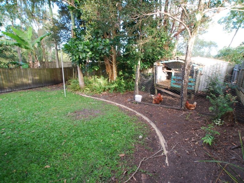 3 Harlow Cr, Tewantin QLD 4565
