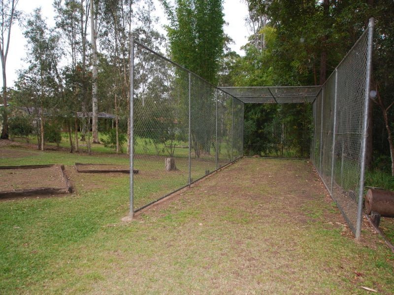 19 Blackbean Court, Black Mountain QLD 4563