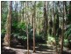 16 Avron Cl, Tewantin QLD 4565