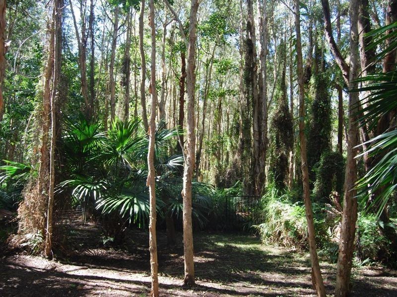 16 Avron Cl, Tewantin QLD 4565
