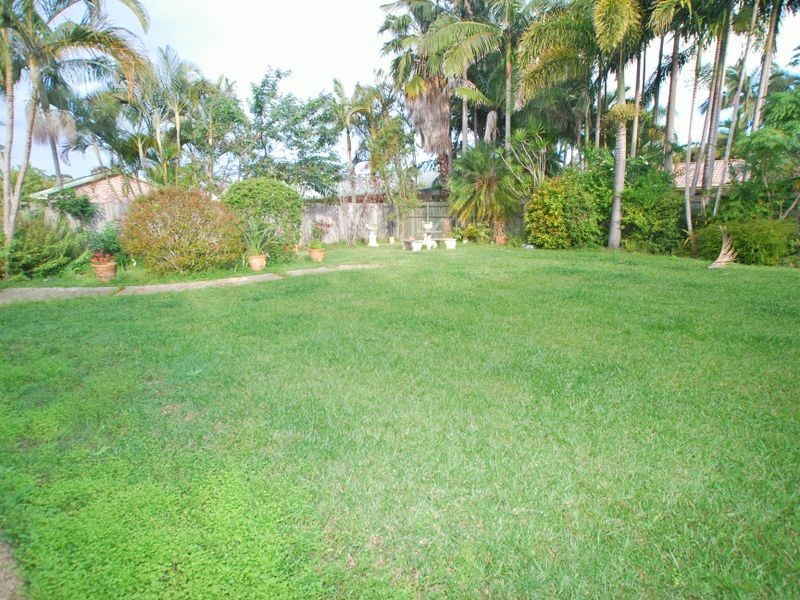 50 Griffith Av, Tewantin QLD 4565