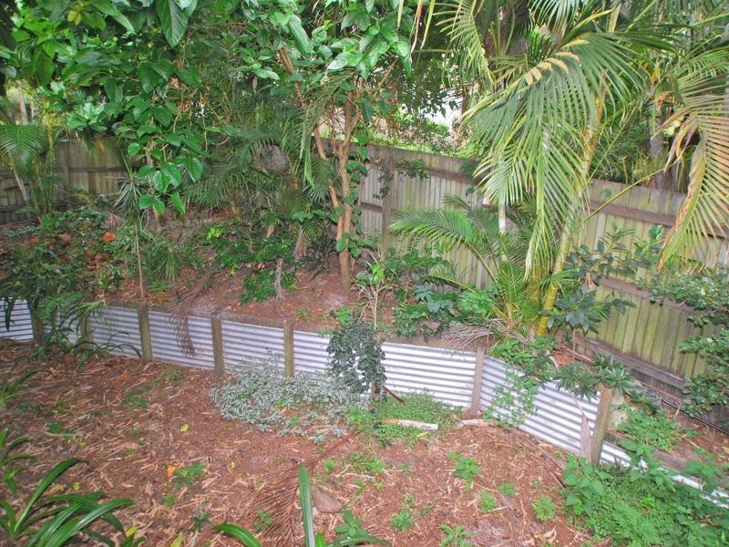 Noosa Heads QLD 4567