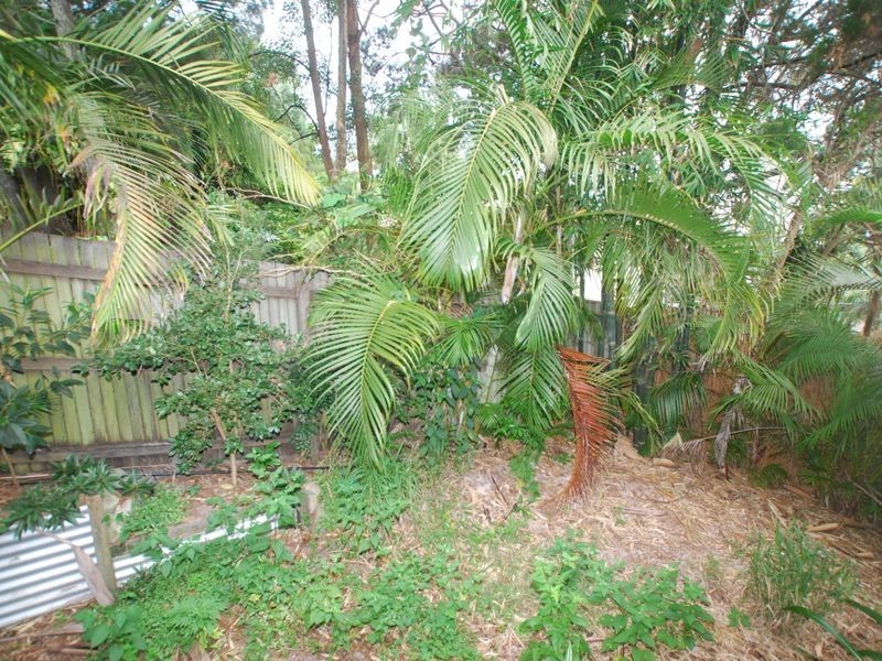 Noosa Heads QLD 4567