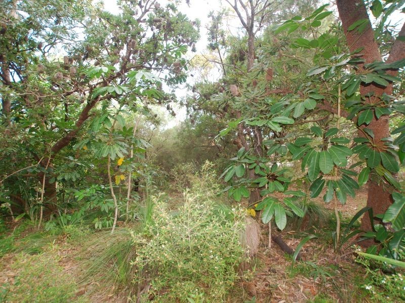 2 Delorme St, Noosa Heads QLD 4567