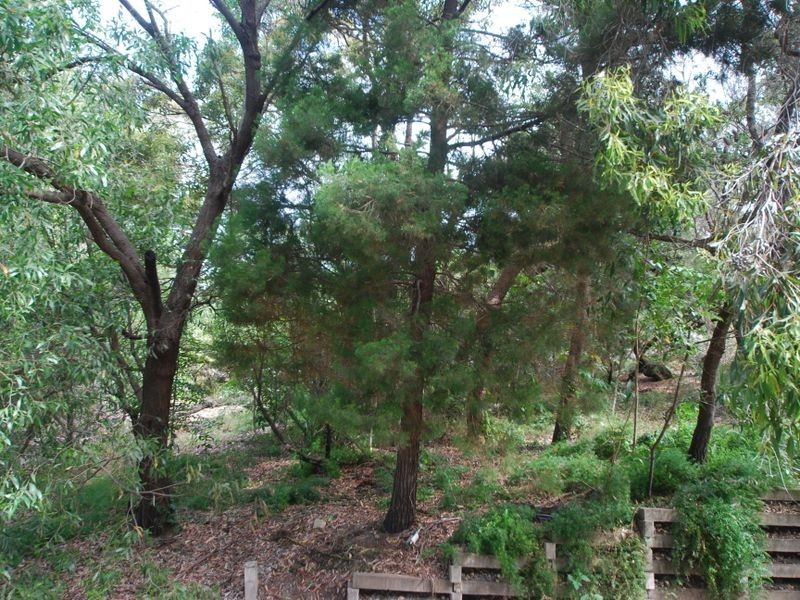 2 Delorme St, Noosa Heads QLD 4567