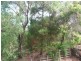2 Delorme St, Noosa Heads QLD 4567