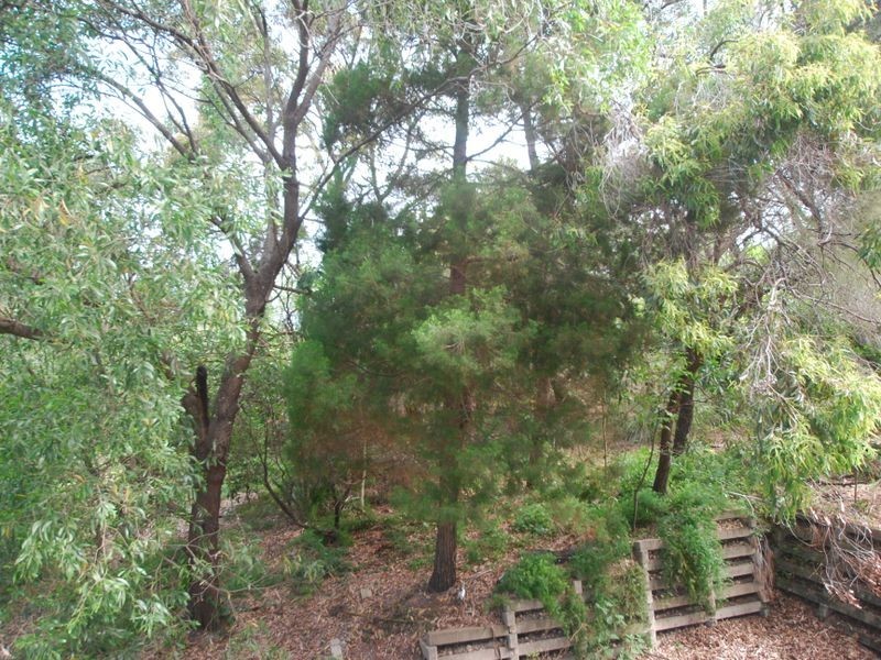 2 Delorme St, Noosa Heads QLD 4567
