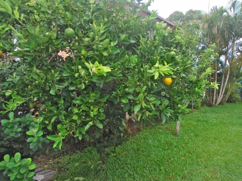 4 Ashford St, Tewantin QLD 4565