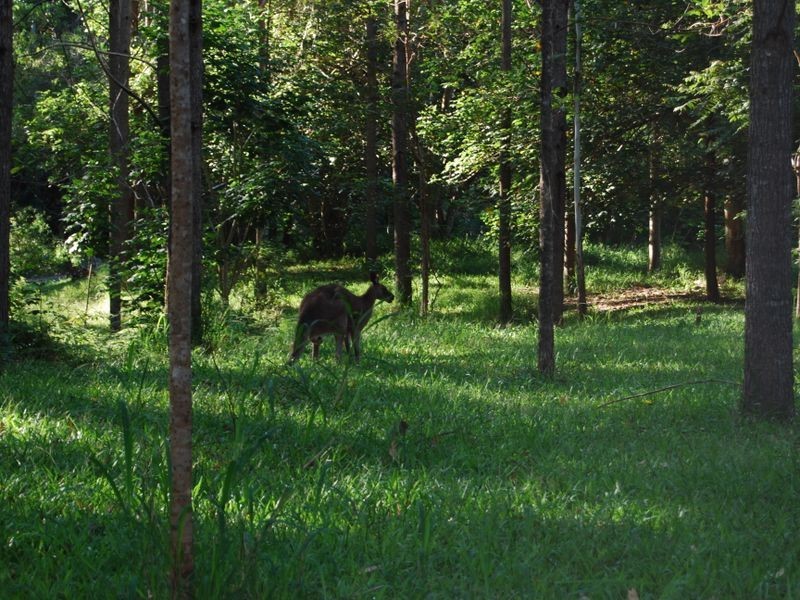 10 Hideaway La, Tinbeerwah QLD 4563