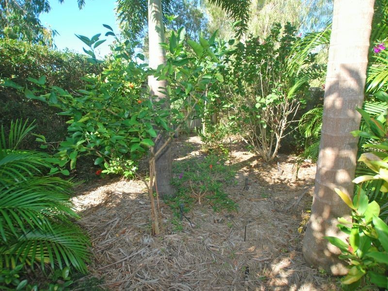 1/2 Sarena Ct, Sunshine Beach QLD 4567