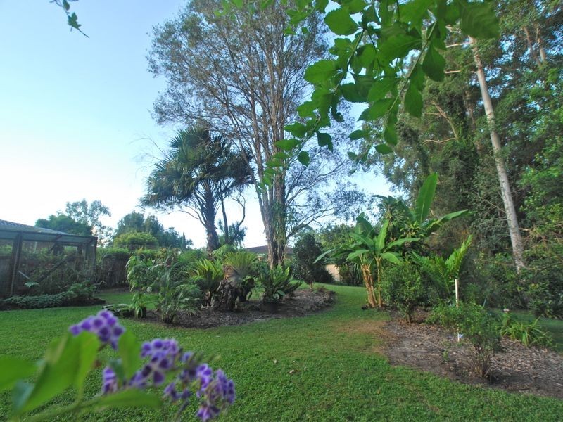 20 Cedarleigh Dr, Tewantin QLD 4565