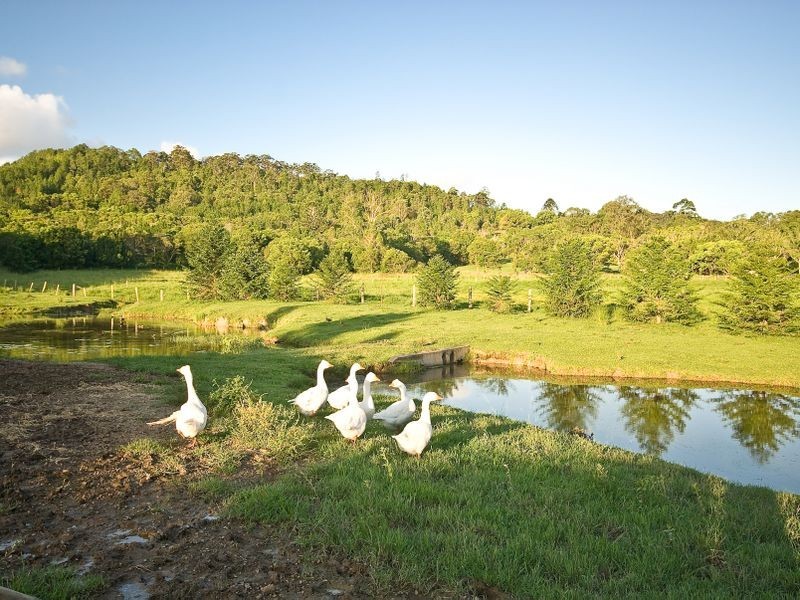 11 Wilkes Lane, Eumundi QLD 4562