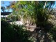 53 Moorindil St, Tewantin QLD 4565