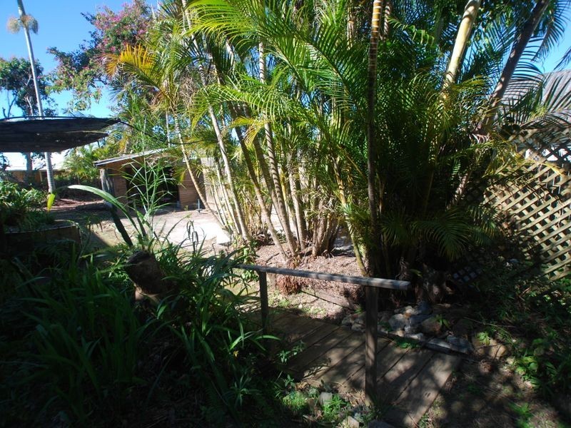 53 Moorindil St, Tewantin QLD 4565