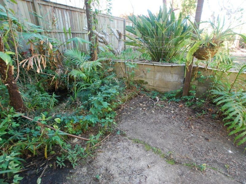 53 Moorindil St, Tewantin QLD 4565