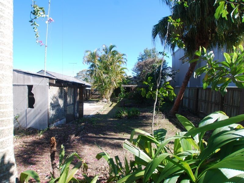 53 Moorindil St, Tewantin QLD 4565