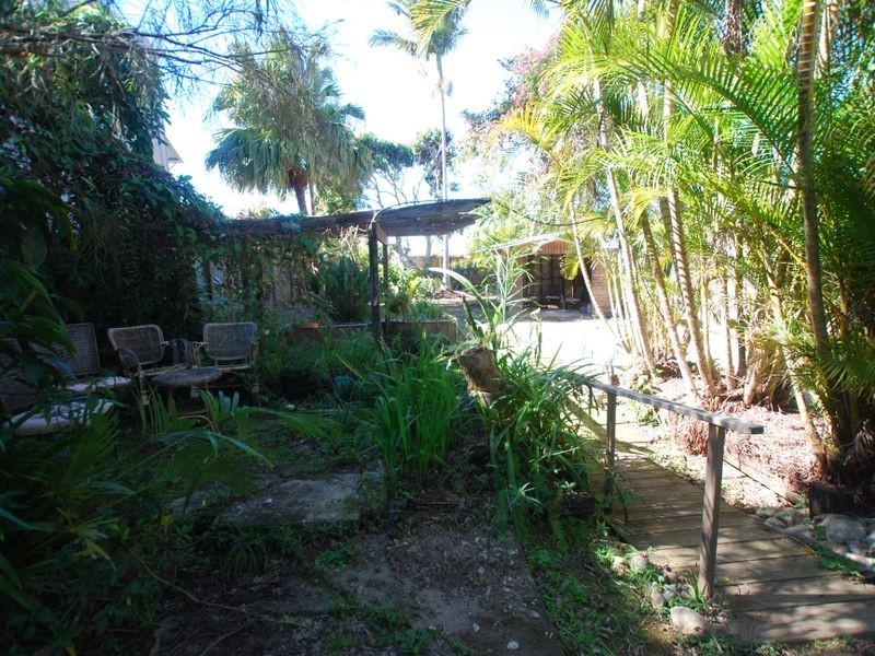 53 Moorindil St, Tewantin QLD 4565