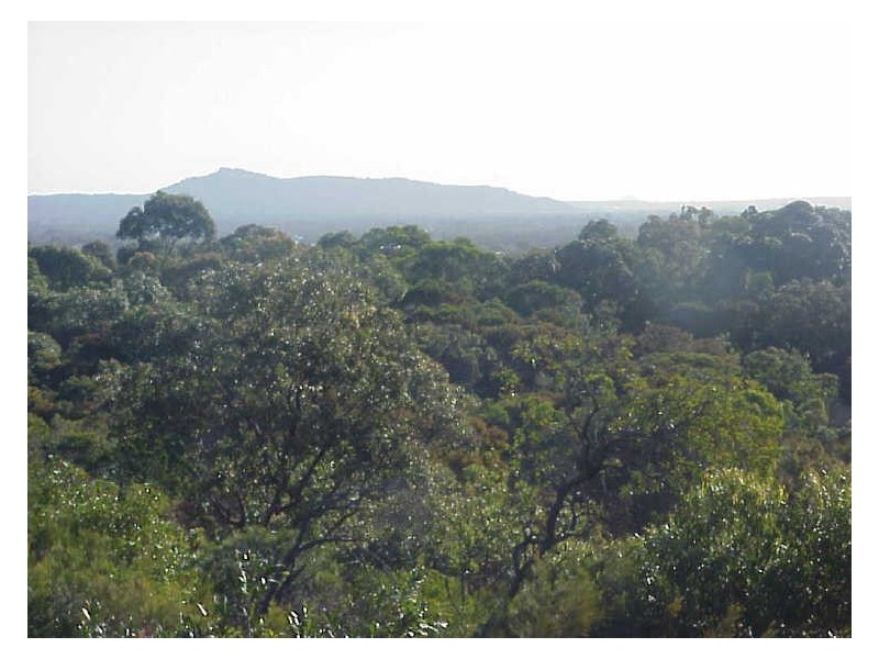 Noosa Heads QLD 4567