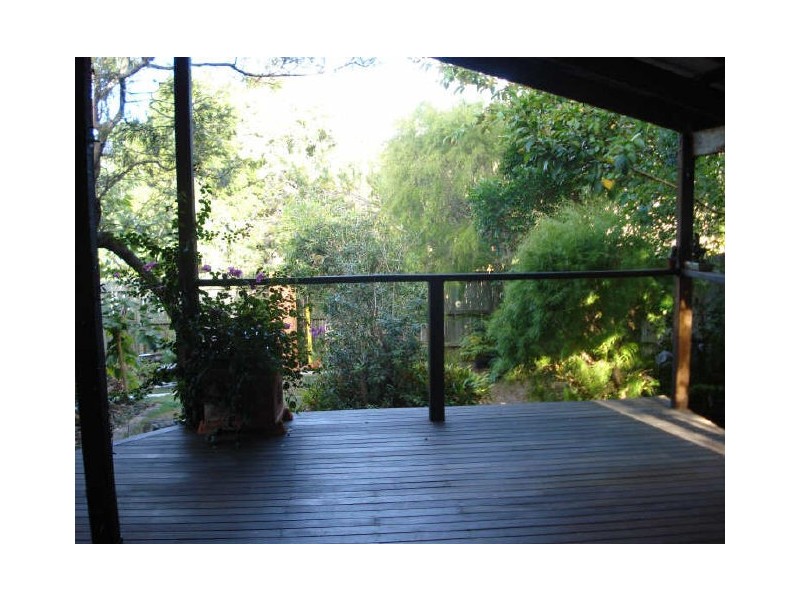 Noosa Heads QLD 4567