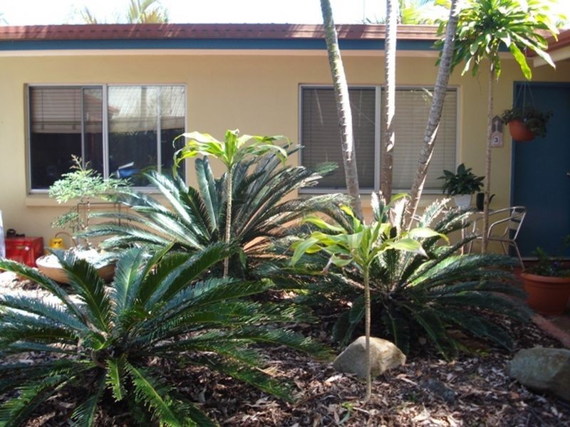 Noosa Heads QLD 4567