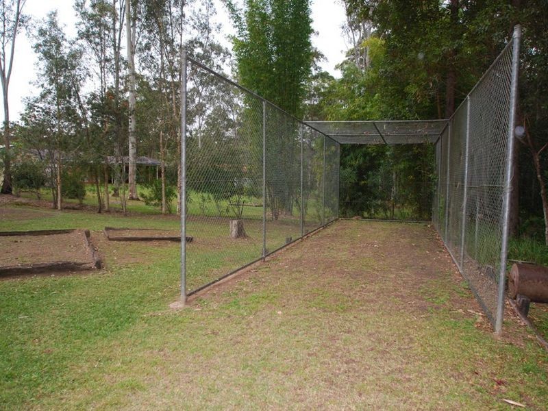 19 Blackbean Court, Cooroy QLD 4563