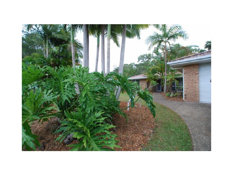 Tewantin QLD 4565